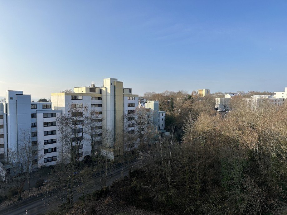 Ausblick Balkon Wohnung Wiesbaden-Biebrich