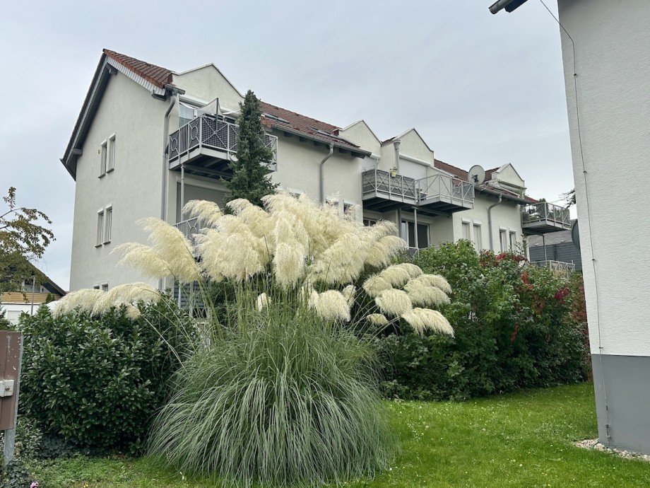 Stra�enansicht Etagenwohnung Bischofsheim