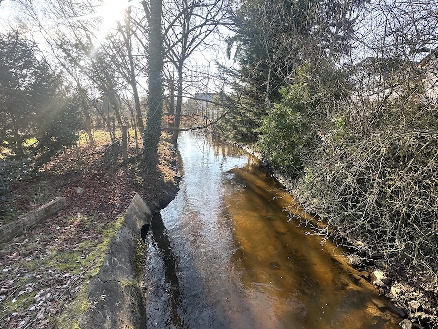 Schwarzbach Einfamilienhaus Nauheim