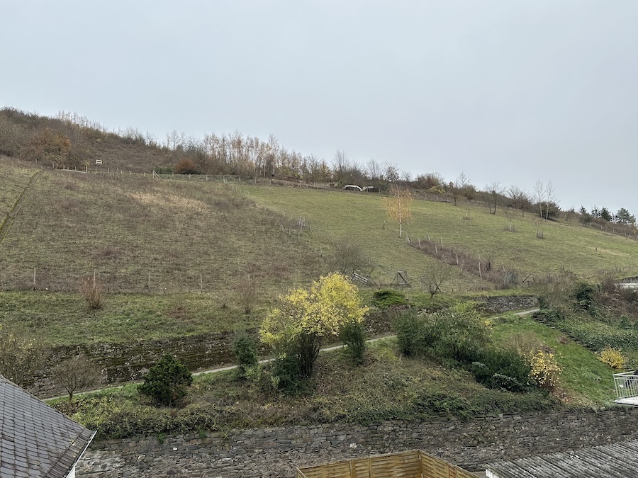 Aussicht Zweifamilienhaus Manubach